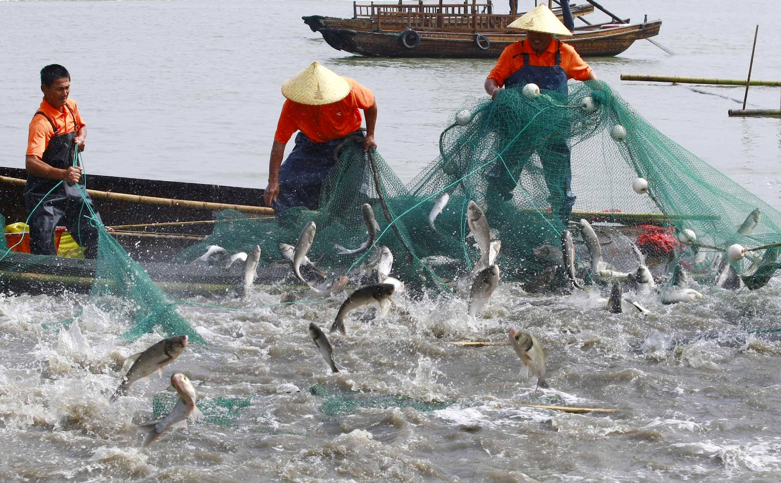 Fisheries